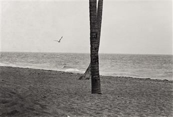 ELLIOTT ERWITT (1928-2023) Portfolio titled Elliott Erwitt, The Alchan Edition.